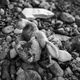 A child’s stuffed doll on a beach in Çesme, Turkey. Sept. 24, 2015.